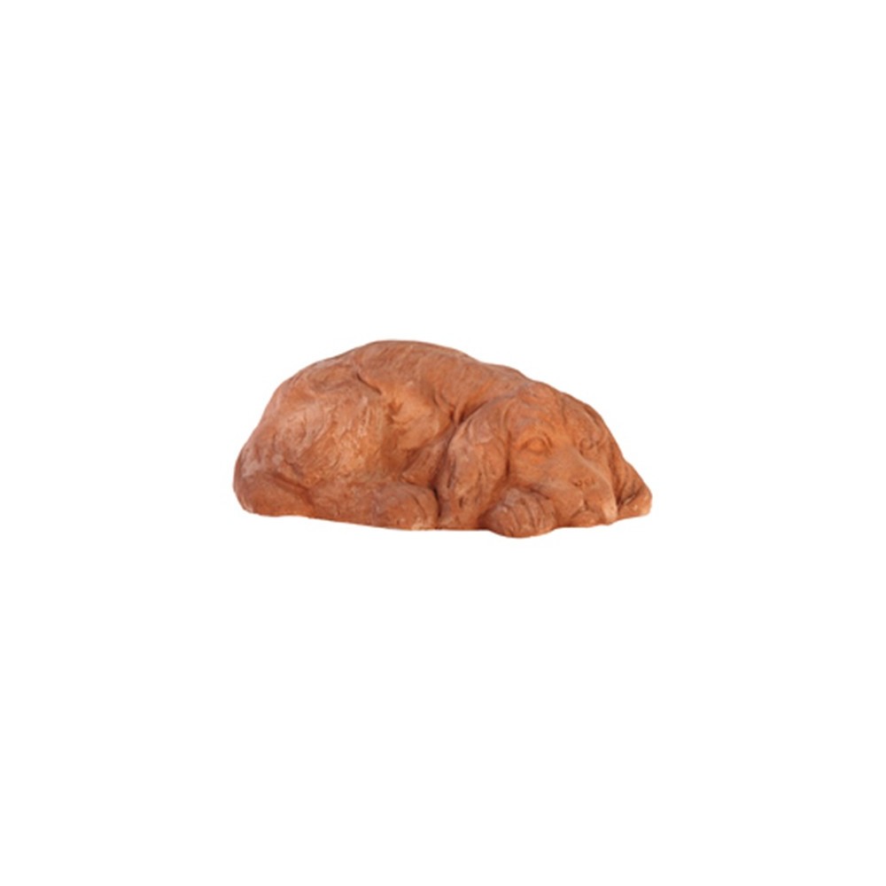 Cocker Spaniel Lying Down in Terracotta